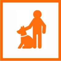 Learning to learn... Wie lernen wir? Wie lernt unser Hund?